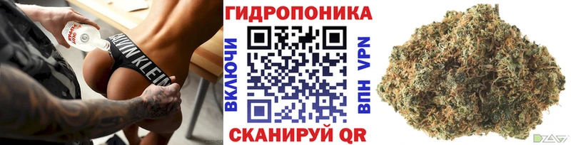 сколько стоит  Приморско-Ахтарск  Бошки марихуана White Widow 